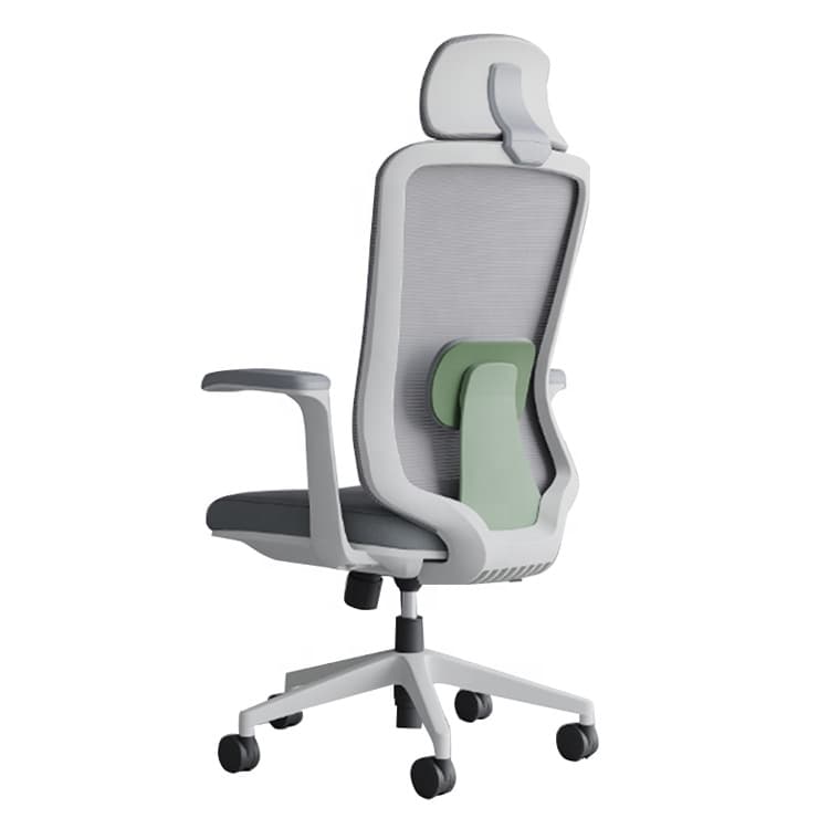 Mesh Office Chair — Lumbar Support
